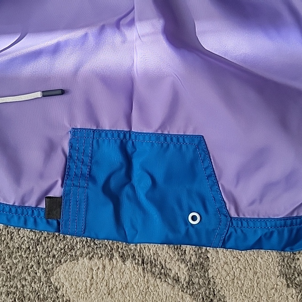 BDG Colorblocked Swim Short - Picture 5 of 6